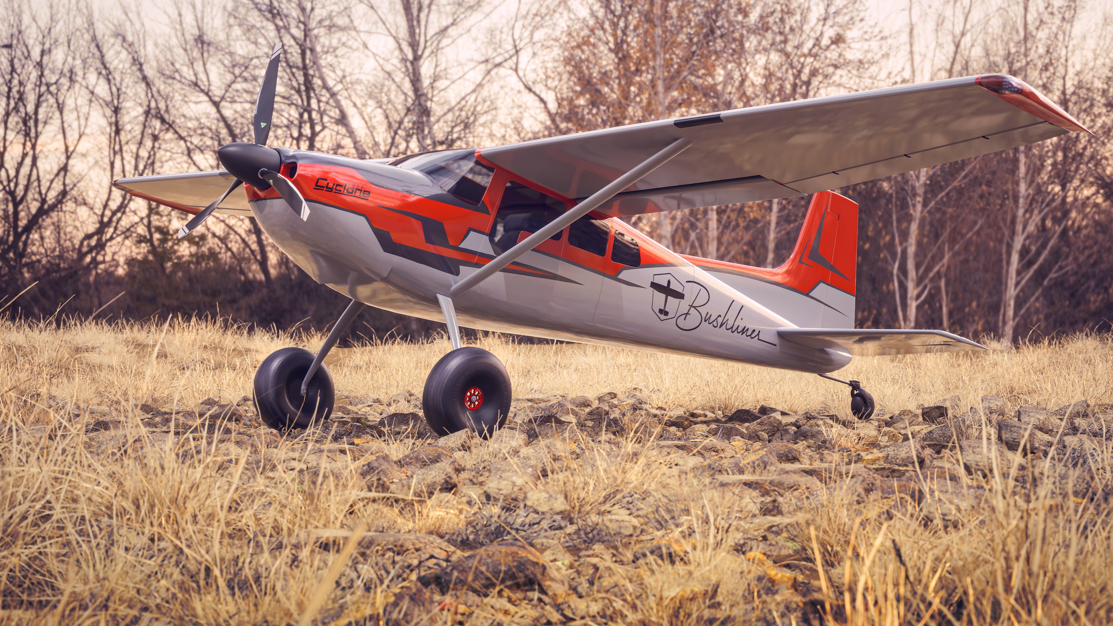 ドリームライナー Bushliner Aircraft